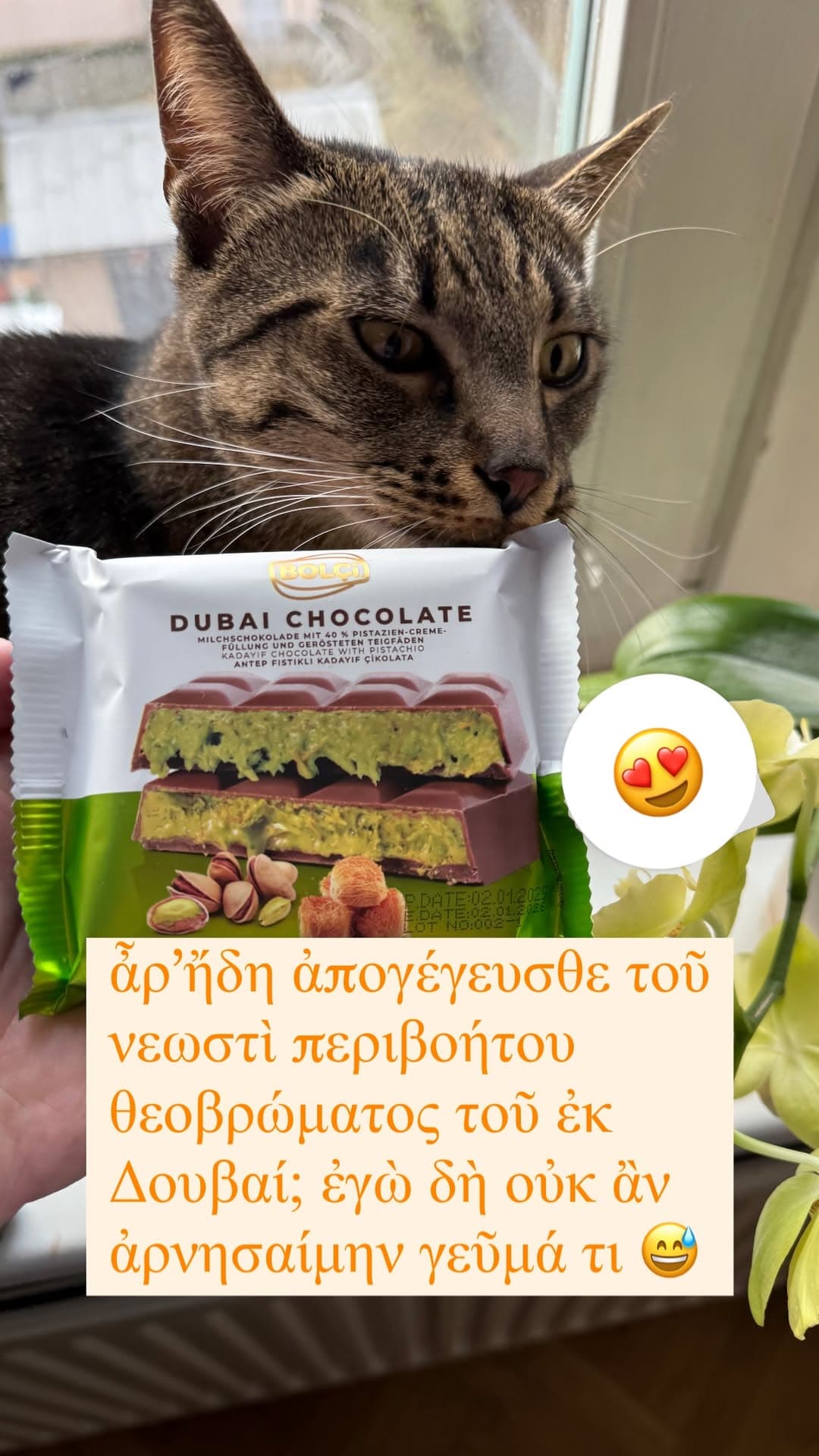 Ancient Greek School on Instagram